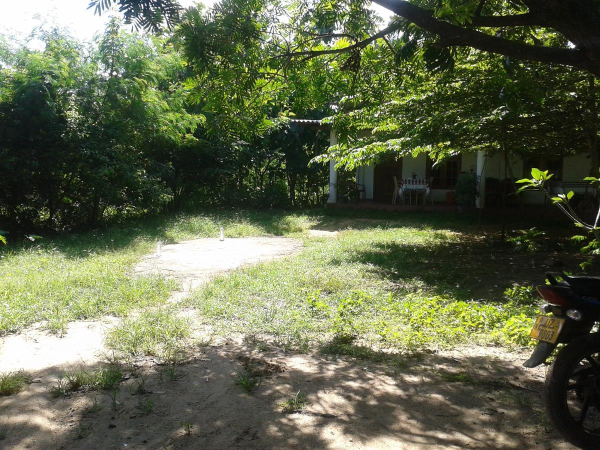 Family Nest Apartment Dambulla Exterior photo