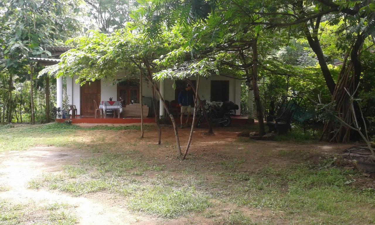 Family Nest Apartment Dambulla Exterior photo